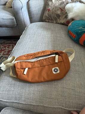 Walker Goods Louie Sling Bag in Cinnamon/Rust